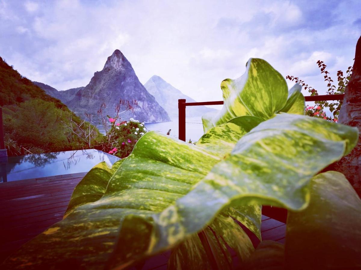 Moringa Villa Studio 1 Soufrière Exterior foto